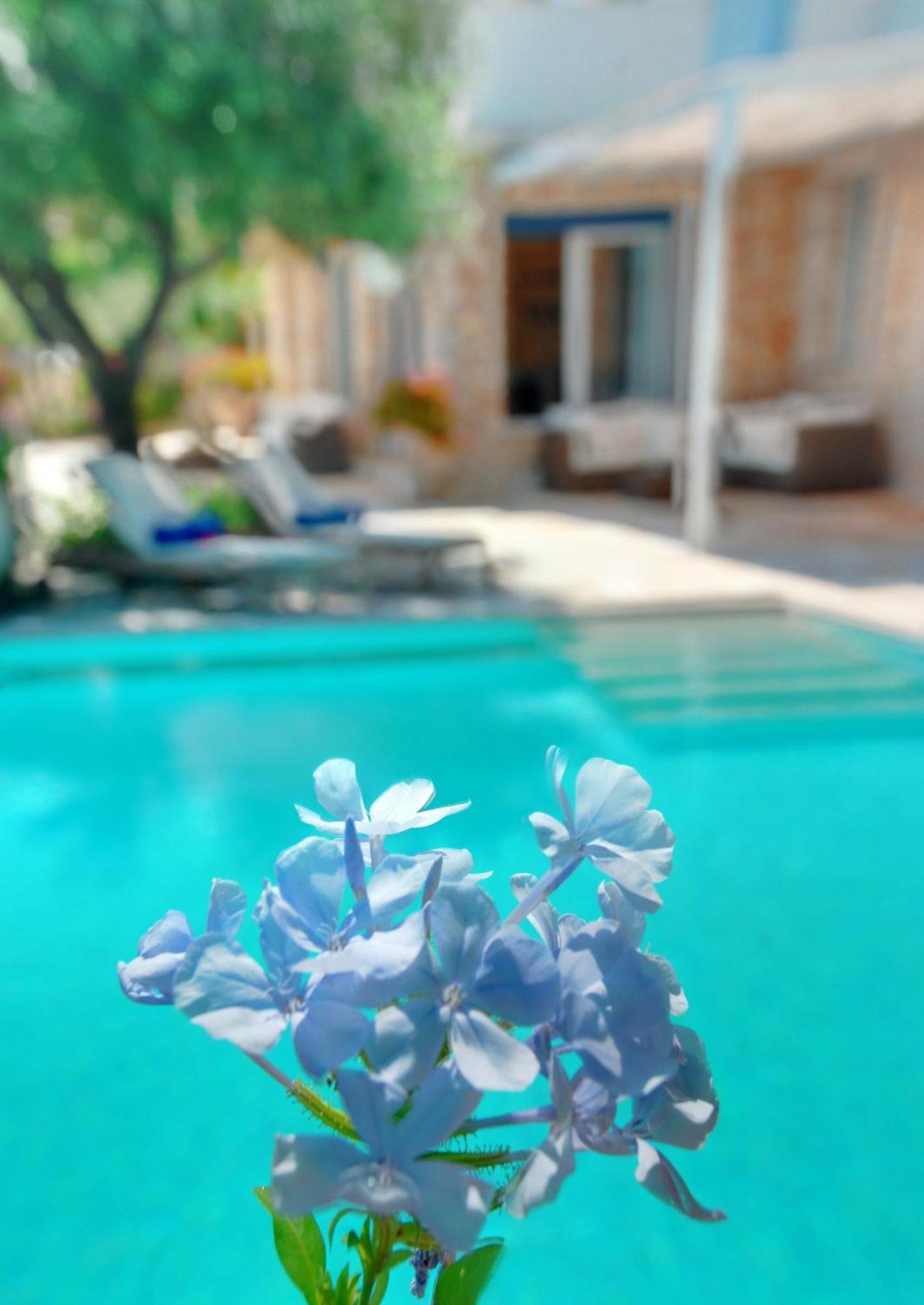 Corfu Luxury Villas Barbati Cameră foto